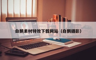 保亭白鹅素材特效下载网站（白鹅摄影）